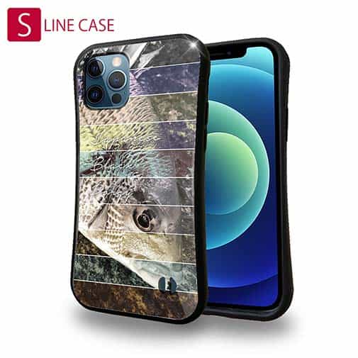 【S-LINE】チヌ(クロダイ)　12カラーズ