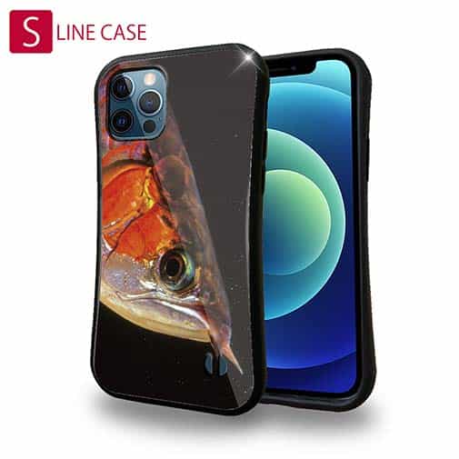 【S-LINE】アロワナの目