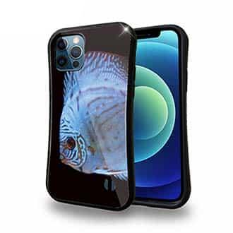 【S-LINE】ディスカス　ブルー