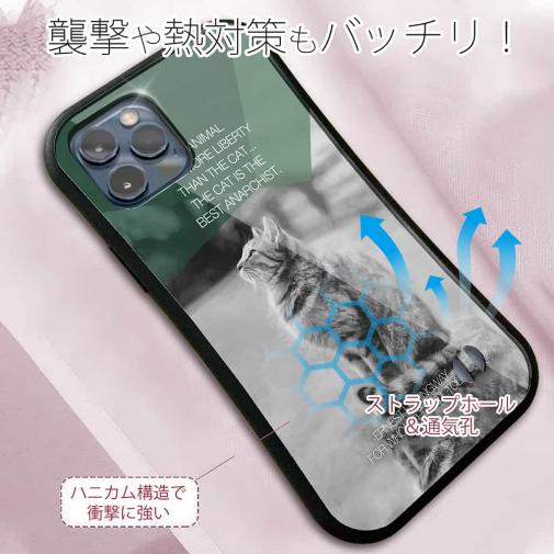 【S-LINE】ヘミングウェイの猫とは…