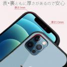 【S-LINE】【FISH MAN】山シリーズ「雷鳥／冬のオス　雪山飛翔」