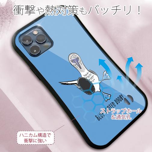 【S-LINE】とぼけた顔のアオアシカツオドリ(wakat)