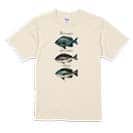 【Tシャツ】メジナの仲間 5.6oz Cotton:100%