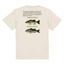 【Tシャツ】オオクチバス(ラージマウスバス)とコクチバス(スモールマウスバス) 5.6oz Cotton:100%