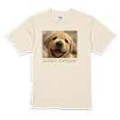 【Tシャツ】ゴールデンレトリバーの子犬 5.6oz Cotton:100%