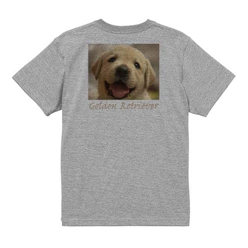 【Tシャツ】ゴールデンレトリバーの子犬 5.6oz Cotton:100%