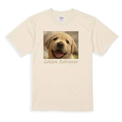 【Tシャツ】ゴールデンレトリバーの子犬 5.6oz Cotton:100%