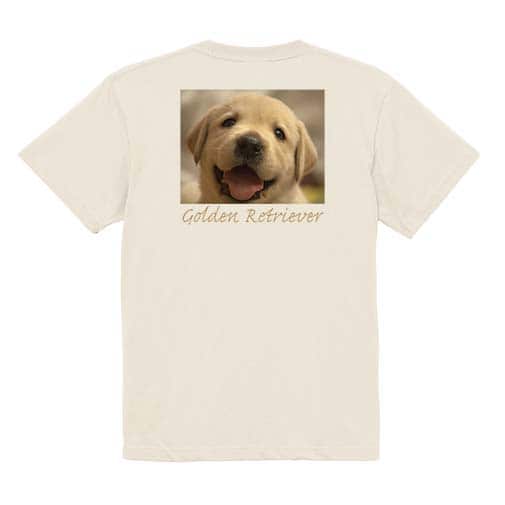 【Tシャツ】ゴールデンレトリバーの子犬 5.6oz Cotton:100%