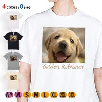 【Tシャツ】ゴールデンレトリバーの子犬 5.6oz Cotton:100%