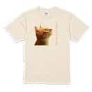 【Tシャツ】天を仰ぐ猫 5.6oz Cotton:100%