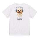 【Tシャツ】トイプードルだってNo Music No Life 5.6oz Cotton:100%