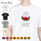 【Tシャツ】シロクマさんスイカウマー(wakat) 5.6oz Cotton:100%