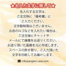 抗菌マスクケース（名入れ対応）20枚セット