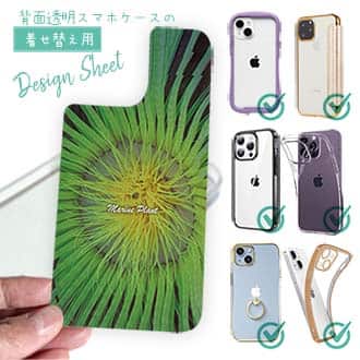 【デザインシート】サンゴ　#2