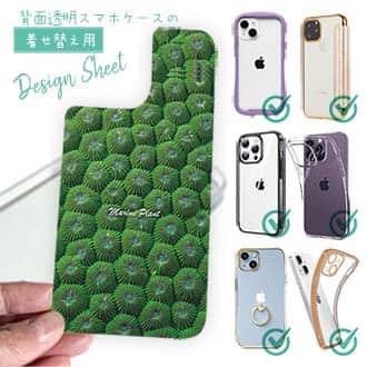 【デザインシート】サンゴ　#13