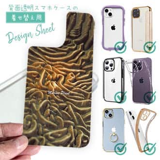 【デザインシート】サンゴ　#15