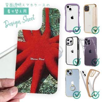 【デザインシート】サンゴ　#18