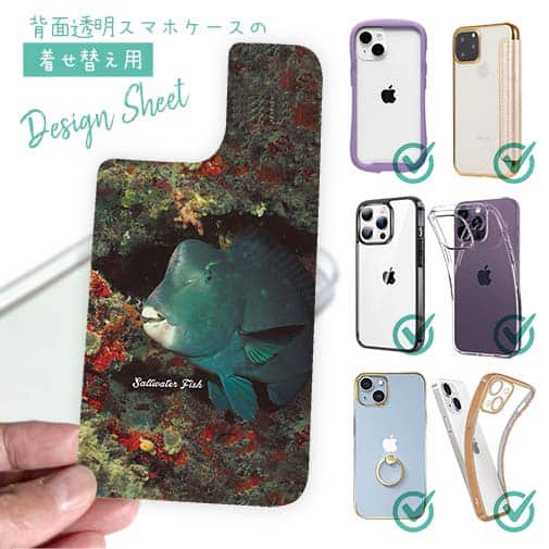 【デザインシート】熱帯魚 No.7 アオブダイ