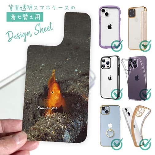 【デザインシート】熱帯魚 No.10 ウイゴンベ