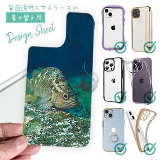 【デザインシート】熱帯魚　No.11　メバル