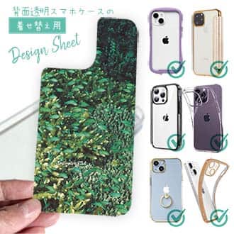 【デザインシート】熱帯魚　No.16　デバスズメダイの群れ2