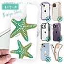 【デザインシート】Starfish　ヒトデ