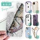 【デザインシート】ヒラスズキの目