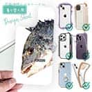 【デザインシート】チヌ（クロダイ）　ポリコン・デザイン