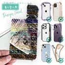 【デザインシート】チヌ(クロダイ)　12カラーズ