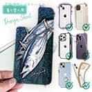 【デザインシート】カツオ　バージョン2