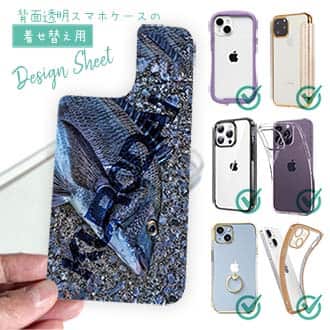 【デザインシート】クロダイ(チヌ)のHDR