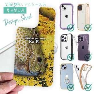 【デザインシート】カーエー(ゴマアイゴ)