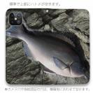 【手帳型ベルトなし】【Stick Case】オナガグレ(クロメジナ)