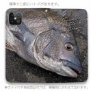【手帳型ベルトなし】【Stick Case】年無しチヌ(クロダイ)