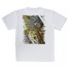 【Tシャツ】ネイティブトラウト