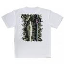 【Tシャツ】グリーンとバス