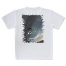 【Tシャツ】ブルーアイ　メジナ(グレ)