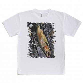 【Tシャツ】ニジマス婚姻色