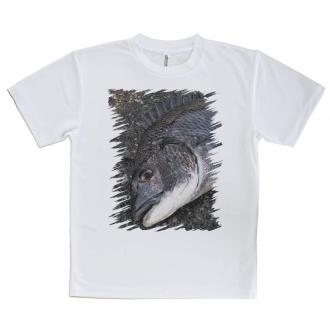 【Tシャツ】荒武者クロダイ(チヌ)
