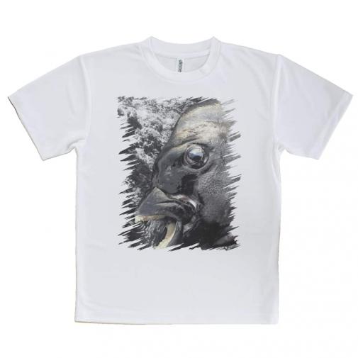 【Tシャツ】イシダイの強靭な歯
