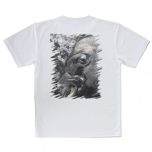 【Tシャツ】イシダイの強靭な歯