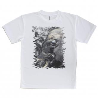 【Tシャツ】イシダイの強靭な歯