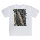 【Tシャツ】イワナ