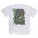 【Tシャツ】スモールマウスバス