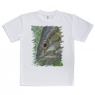 【Tシャツ】スモールマウスバス