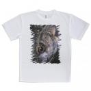 【Tシャツ】メバル