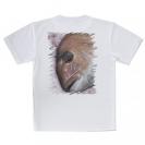 【Tシャツ】桜ダイ