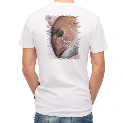 【Tシャツ】桜ダイ