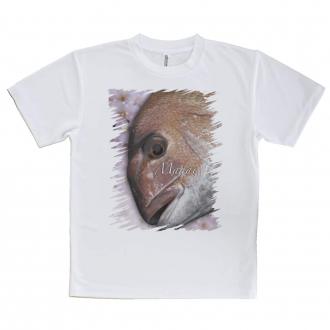 【Tシャツ】桜ダイ