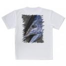 【Tシャツ】クロマグロ